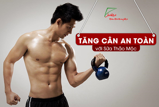 tăng cân nhờ sữa thảo mộc